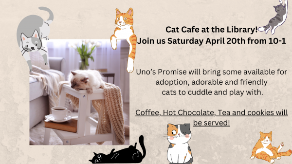 Image for event: Cat Caf&eacute; at the Library